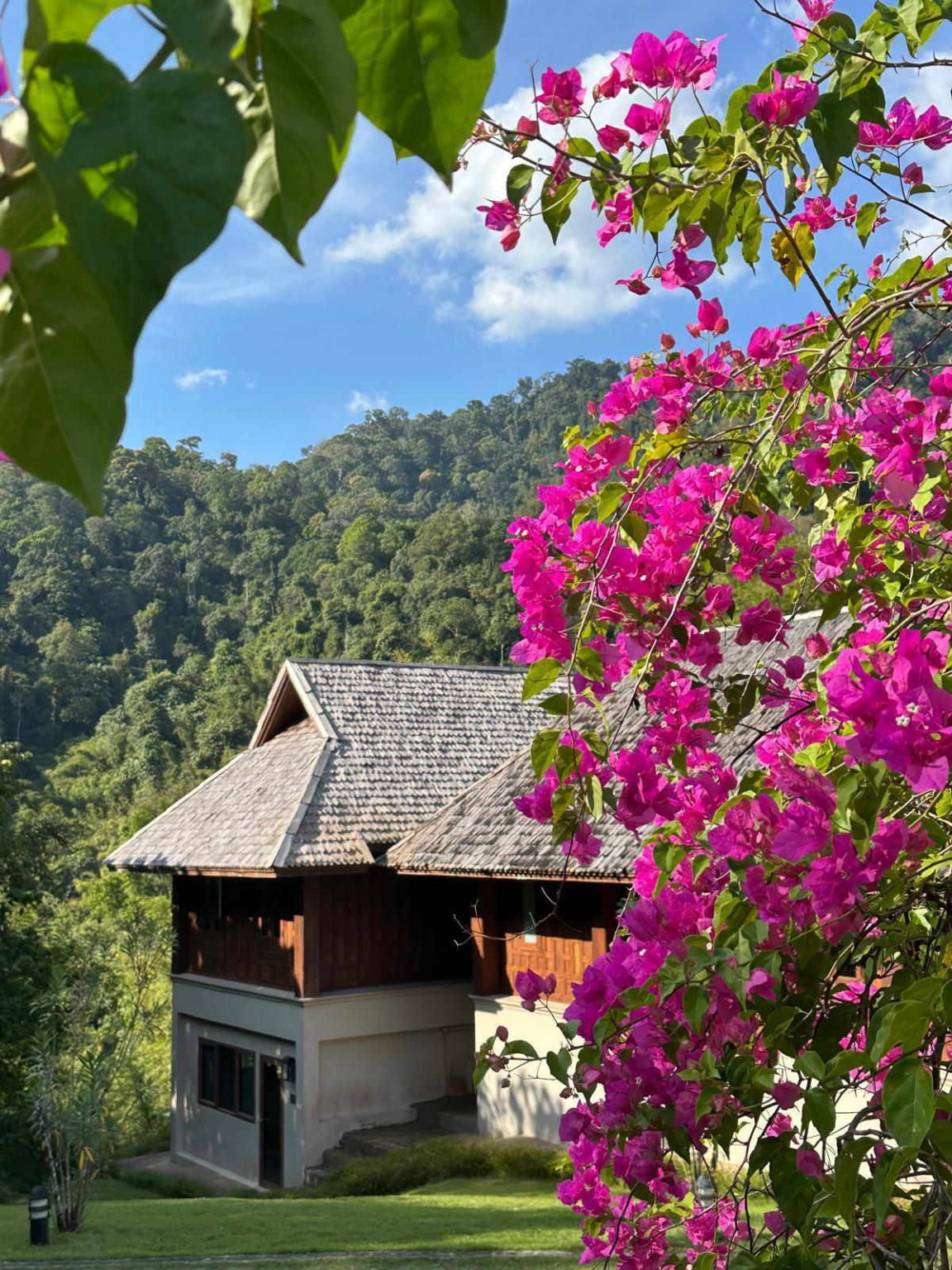 Thanyamundra Organic Resort gallery image